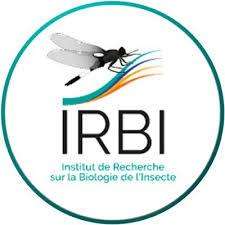 IRBI