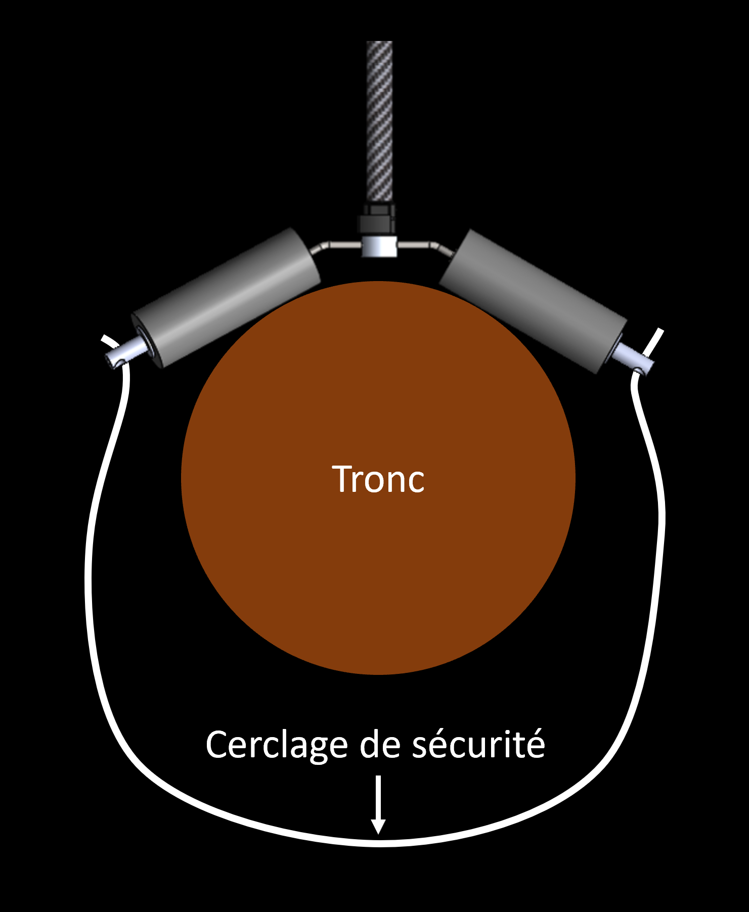 perche carbon 3k 