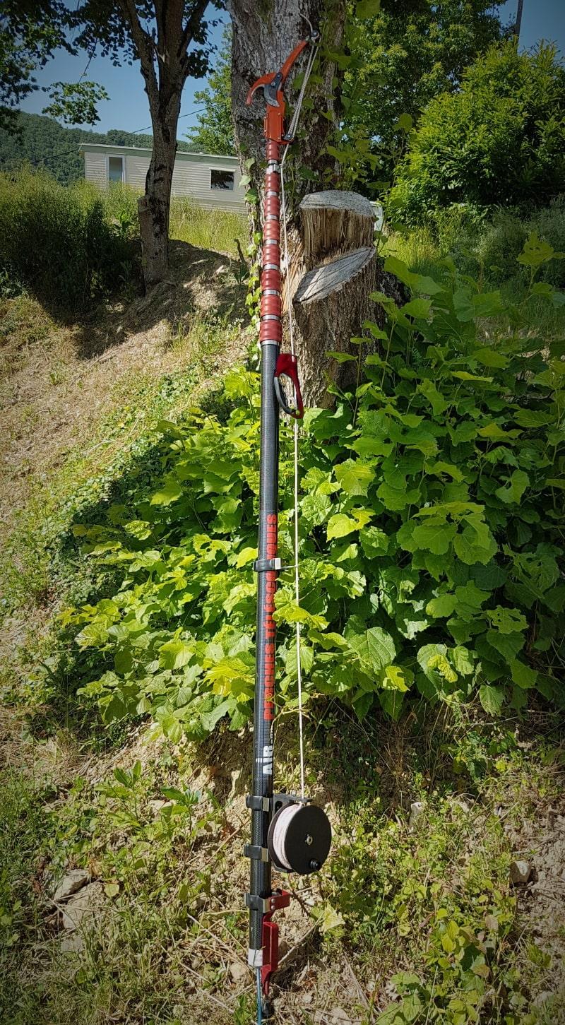perche carbon 3k chenille processionnaire
