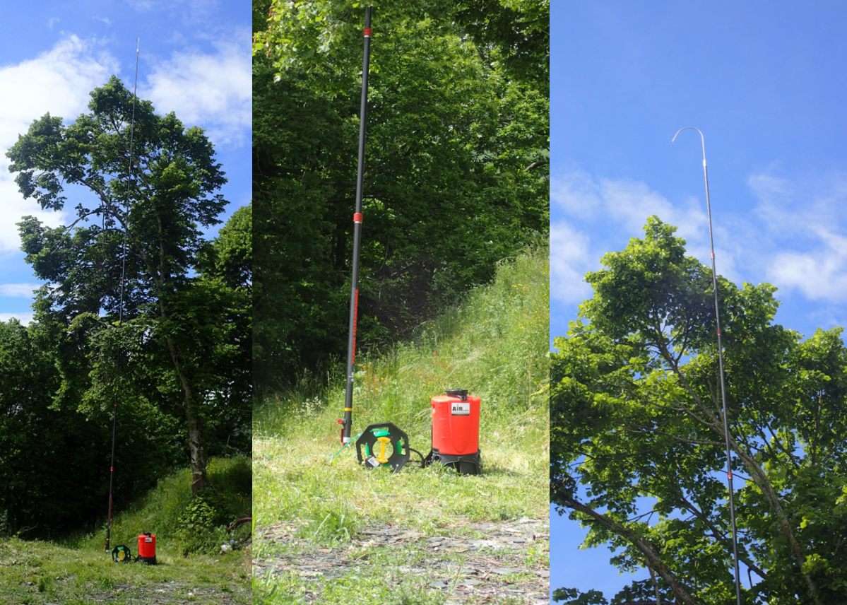 Kit perche charançon rouge